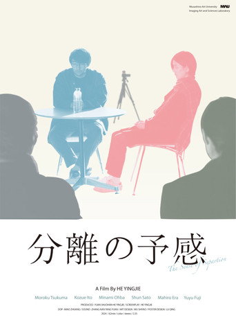 The Sense of Separation movie poster
