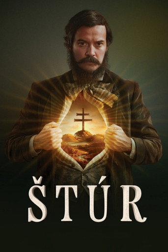 Štúr movie poster