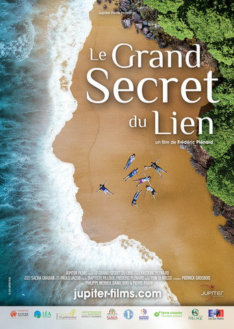 Le Grand Secret du lien movie poster