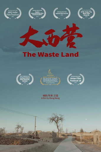 The Waste Land movie poster