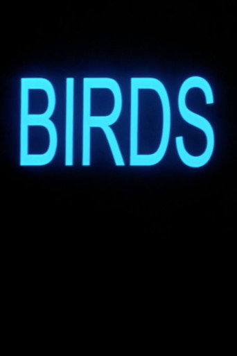 Birds movie poster
