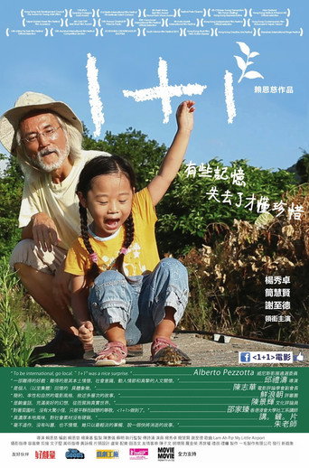 1+1 movie poster