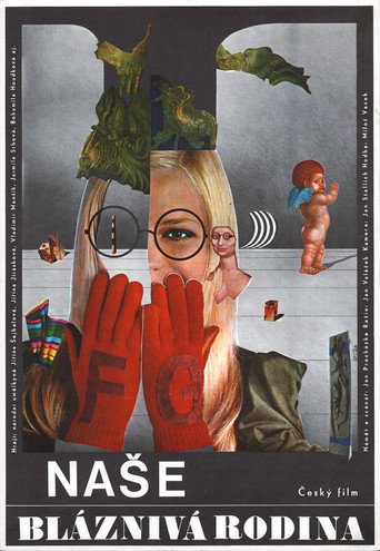 Naše bláznivá rodina movie poster