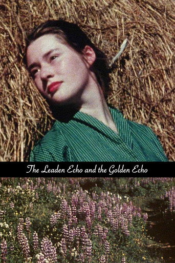 The Leaden Echo and the Golden Echo movie poster