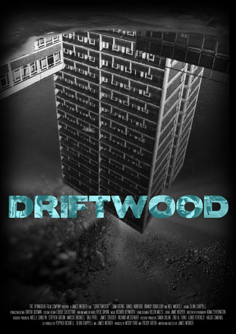 Driftwood movie poster