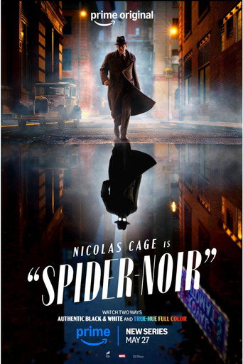 Spider-Noir movie poster