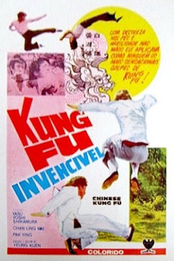 Chinese Kung Fu movie poster