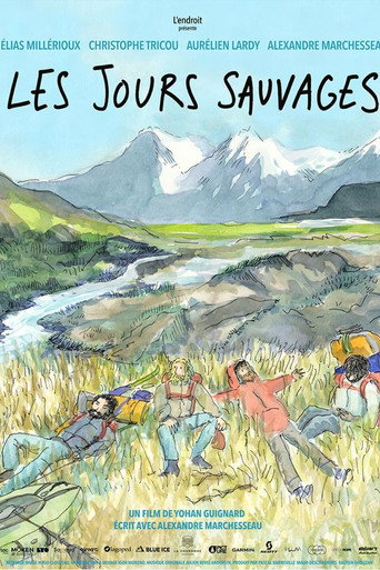 Wild Days movie poster