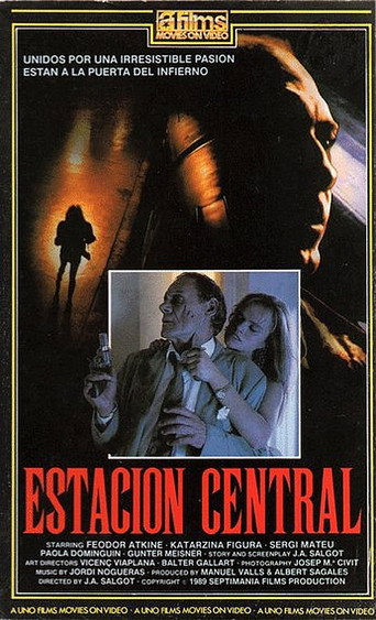 Central Station movie poster