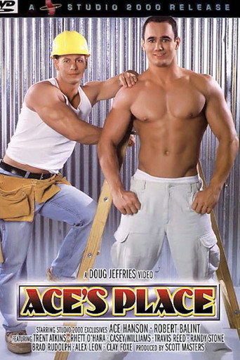 Ace's Place movie poster