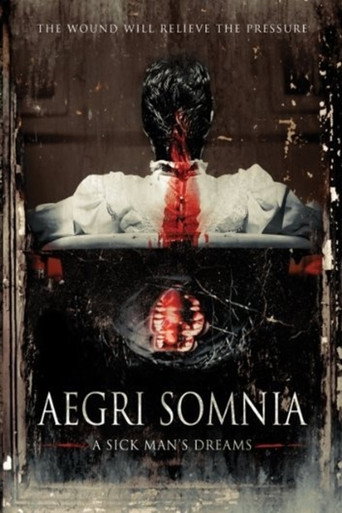 Aegri Somnia movie poster