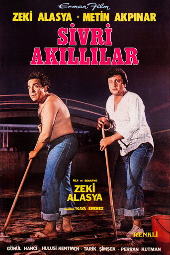 Sivri Akıllılar movie poster