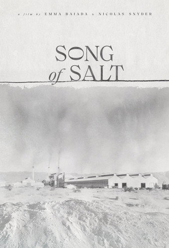Song of Salt movie poster