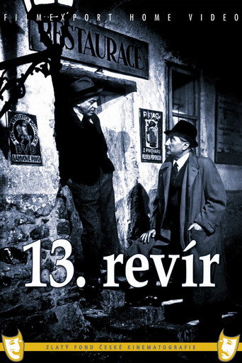 13th district movie poster