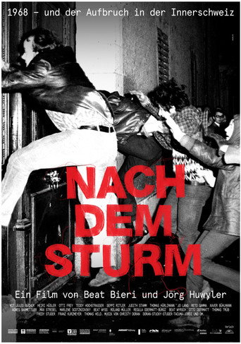 Nach dem Sturm movie poster