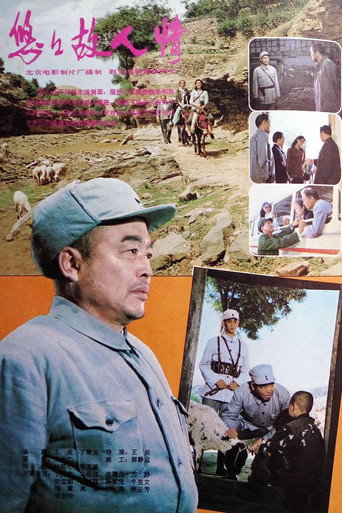 悠悠故人情 movie poster
