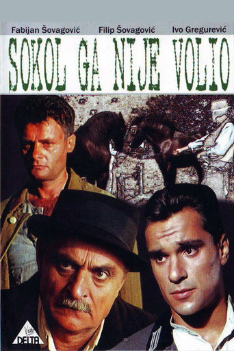 Sokol Did Not Love Him movie poster