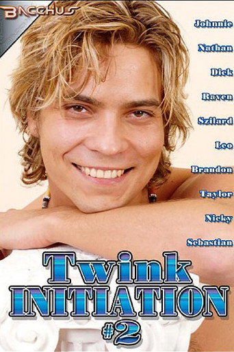 Twink Initiation 2 movie poster