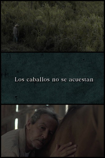 Horses Don’t Lie Down movie poster