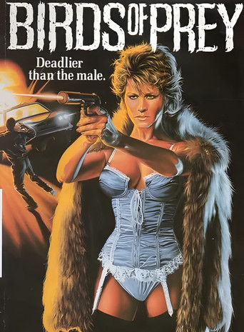 Birds of Prey movie poster