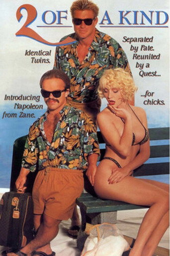 2 of a Kind movie poster