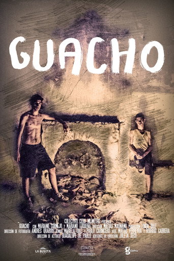 Guacho movie poster