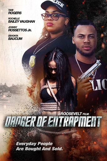 Danger of Entrapment movie poster