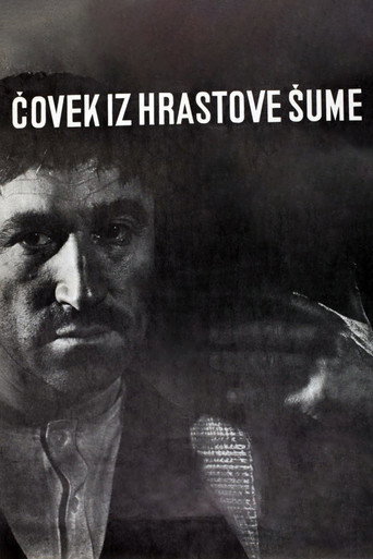 The Man from the Oak Forest movie poster