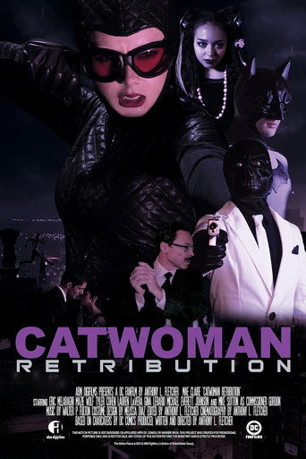Catwoman Retribution movie poster