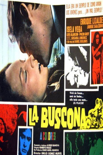 La buscona movie poster