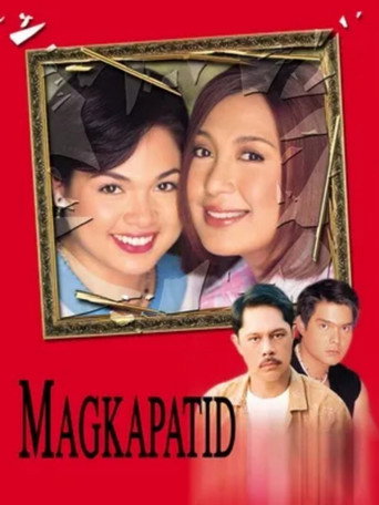 Siblings movie poster