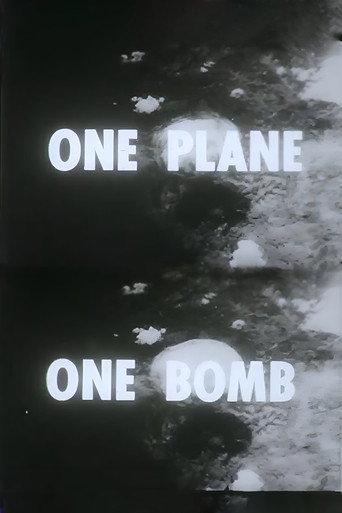 One Plane, One Bomb movie poster