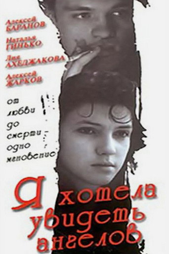 I Wanted to See Angels movie poster