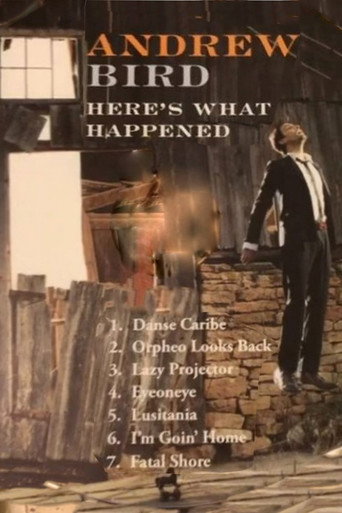 Andrew Bird: Here's What Happened movie poster