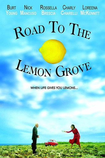 Road to the Lemon Grove movie poster