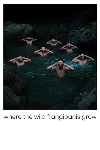 Where the Wild Frangipanis Grow movie poster
