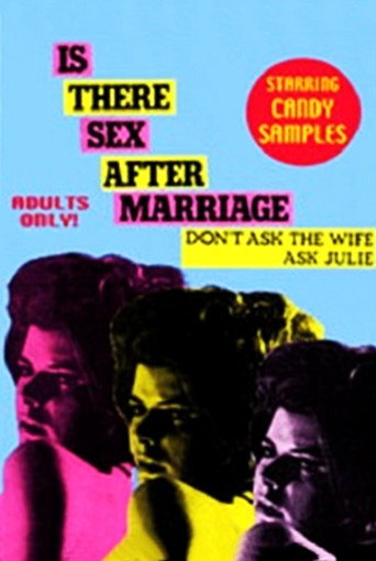 Is There Sex After Marriage movie poster