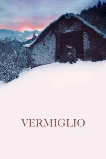 Vermiglio movie poster