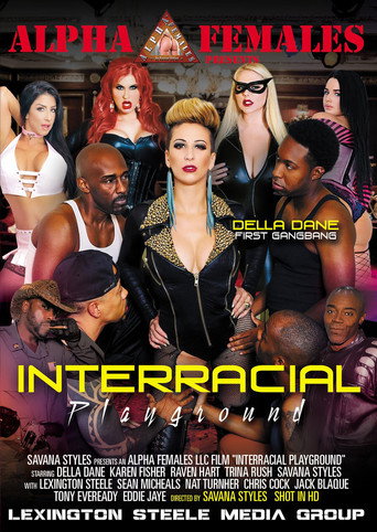 Interracial Playground movie poster