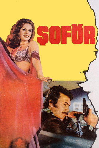 Şoför movie poster