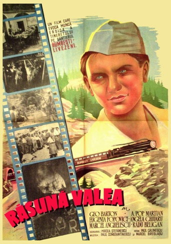 The Valley Resounds movie poster