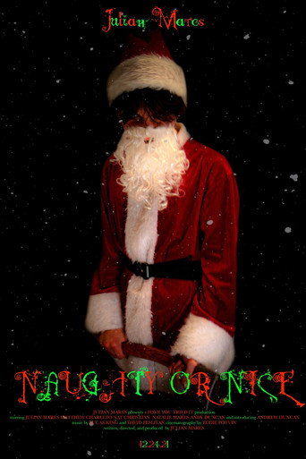 Naughty or Nice movie poster