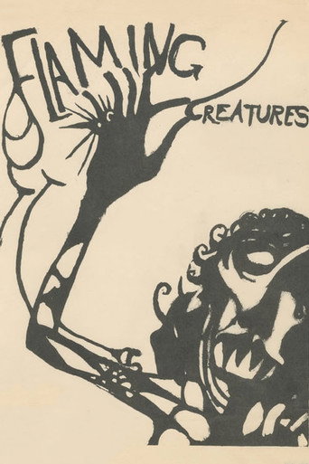 Flaming Creatures movie poster