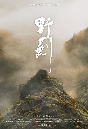 The Way Home movie poster