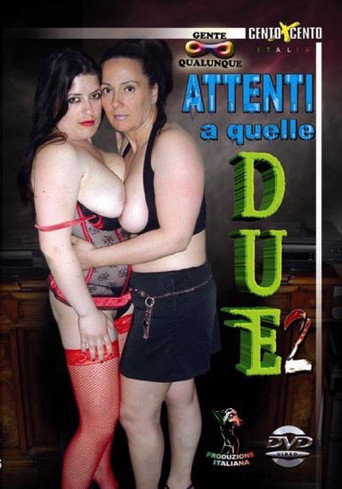 Attenti a quelle due 2 movie poster
