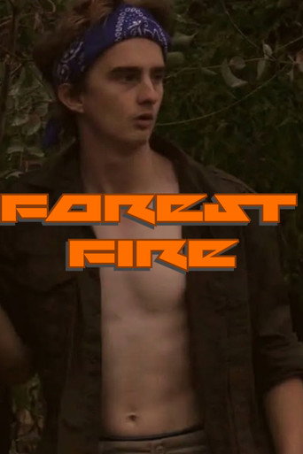 Forest Fire movie poster