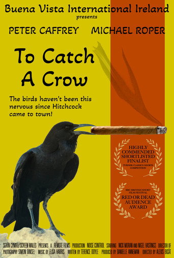 To Catch a Crow movie poster