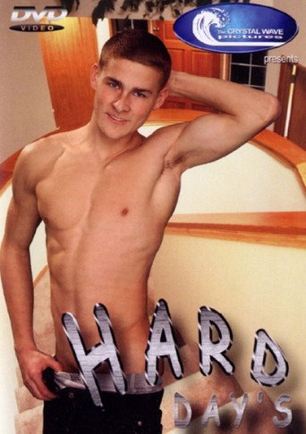 Hard Day's movie poster