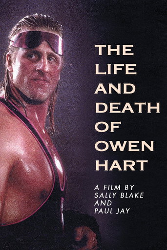 The Life and Death of Owen Hart movie poster