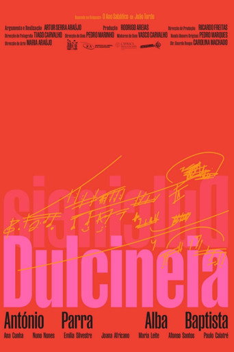 Dulcineia movie poster